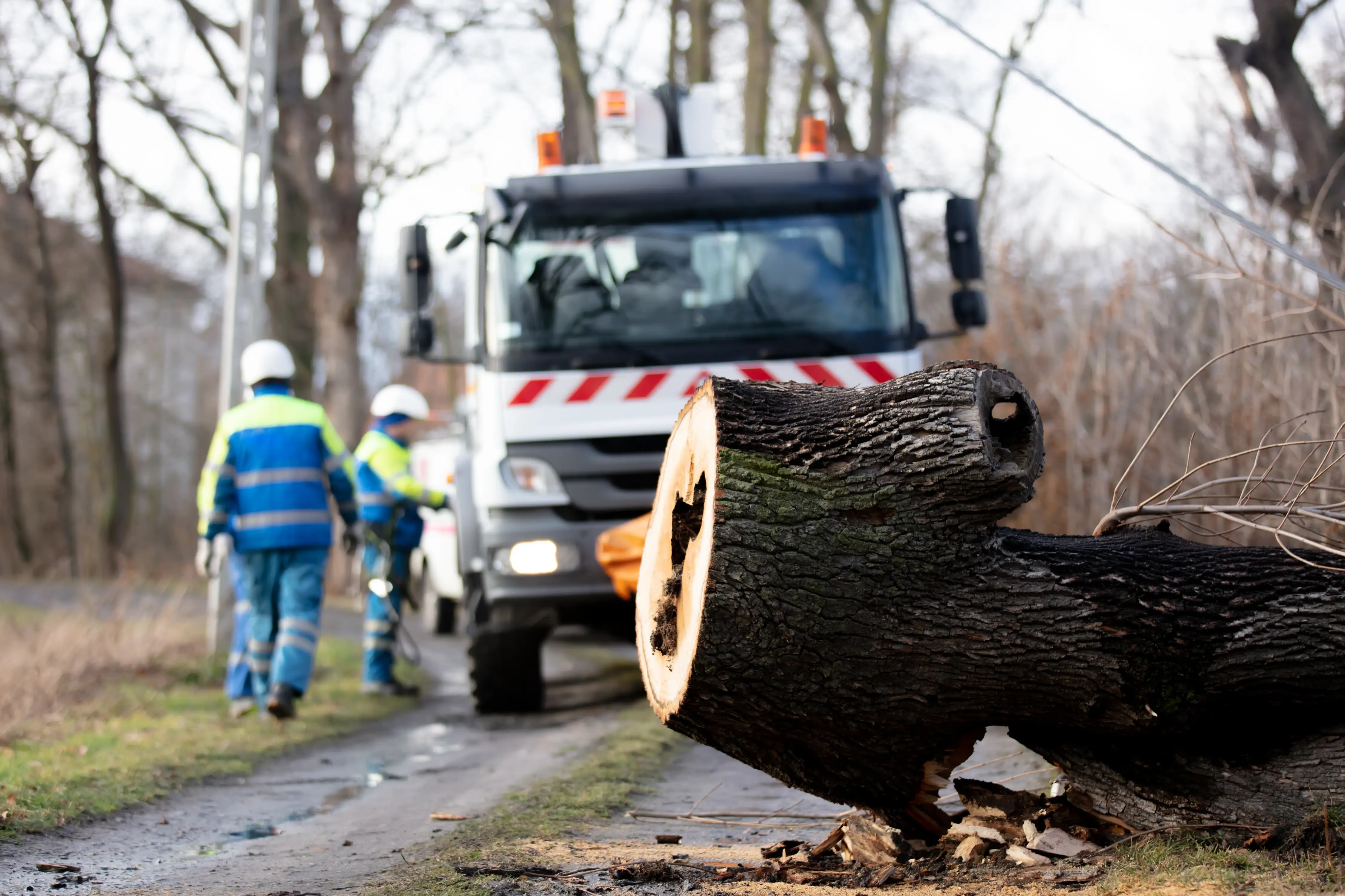 24/7 EMERGENCY TREE SERVICE
