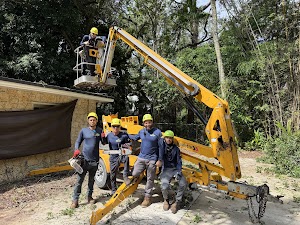 OnTop Tree Service INC place picture