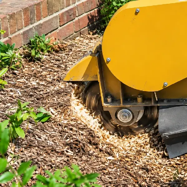 STUMP GRINDING